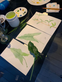 Workshop botanisch tekenen en aquarelleren