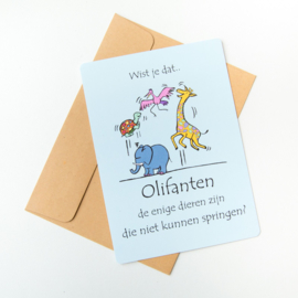 Wist je dat...postkaart Olifant