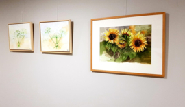 Expositie in Heeg