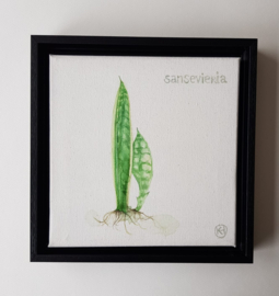 Botanische aquarellen set van 4