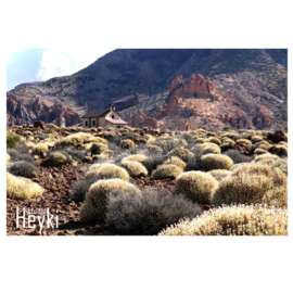 Vakantiegevoel - Tenerife - Natuur