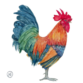 Hollandse krielhaan aquarel