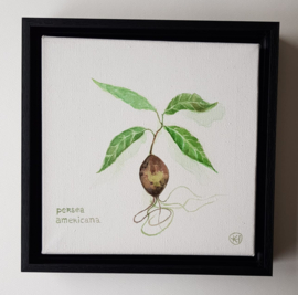 Botanische aquarellen set van 4