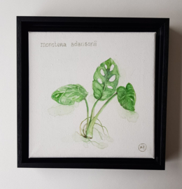 Botanische aquarellen set van 4