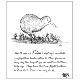 Vogel - Kiwi
