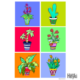 Cactus in sterretjes pot - Kitty Bertelink
