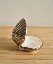 Pillendoosje schelp