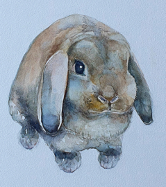 Huisdier portret in aquarel