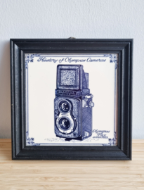 Olympus Flex 1952 camera wand tegel