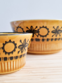 Schaaltjes Jaren 70 Goedewaagen