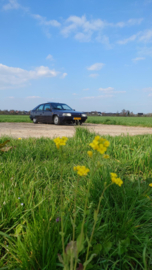 Citroën BX Toulouse - Blue Memphis