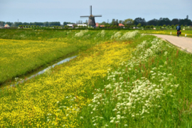 Noord-Holland Tocht 2024 - niet-leden ticket