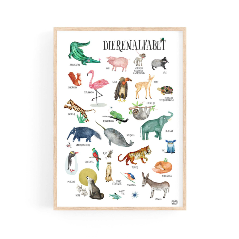 Nieuw poster dieren ABC - alfabetposter (Taal: Engels) | prints DK-53