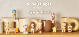 Sonny Angel | Enjoy the Moment (blind in de verpakking)