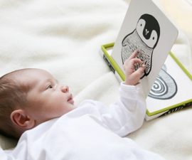 Wee Gallery | Baby kijkkaarten zwart-wit dieren