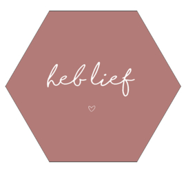 Label-R Kids | Hexagon Tekst Heb lief (roze)