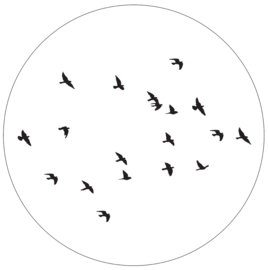 Label-R | Muurcirkel Birds (wit)