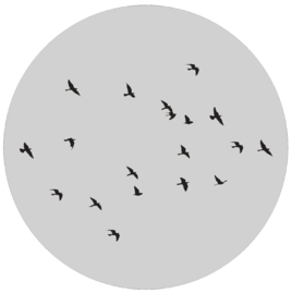 Label-R | Muurcirkel Birds (grijs)