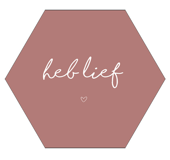 Label-R Kids | Hexagon Tekst Heb lief (roze)