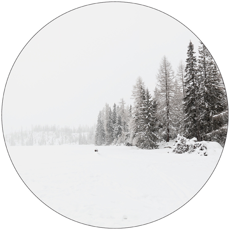 Label-R | Muurcirkel Snow