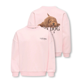 Kids ONLY sweater Bila chalk pink lazy dog