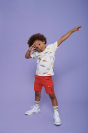 Sturdy t-shirt aop offwhite Desert Fiesta