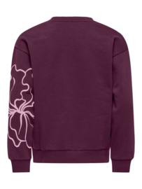 Kids ONLY Odessa sweater mauve wine