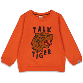 Sturdy sweater brique Talking Tiger