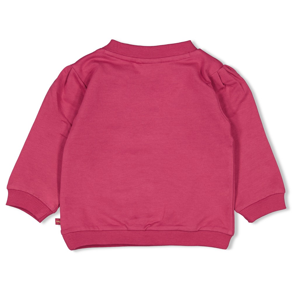 Feetje sweater Shine Bright