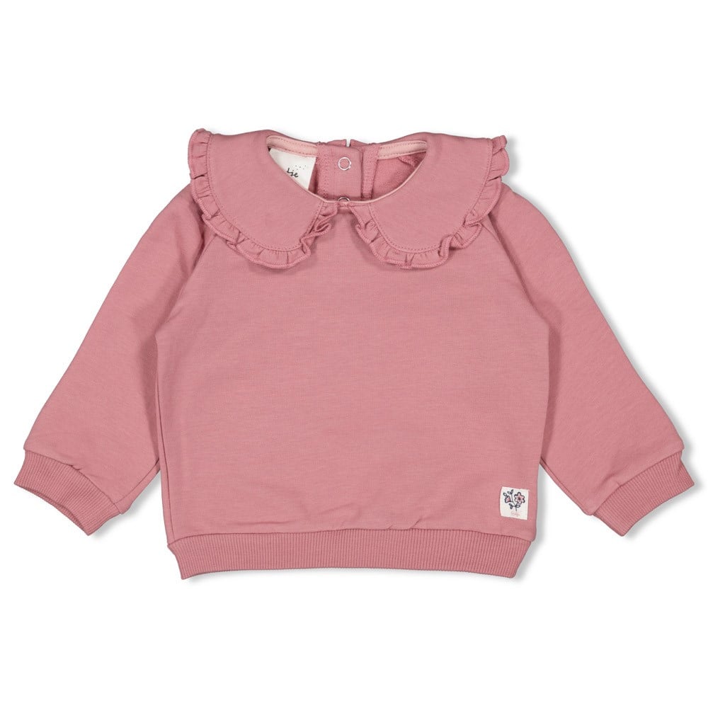 Feetje sweater mauve Swanlake