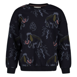 Sturdy sweater aop relaxed fit Rock the Earth