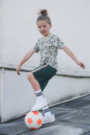 Tygo & Vito t-shirt Thijs pebble stone