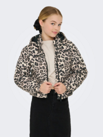 Kids ONLY dalia puffer jacket