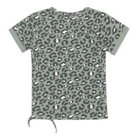 Dirkje t-shirt groen aop