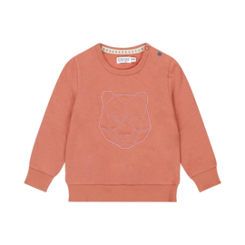 Dirkje sweater rust