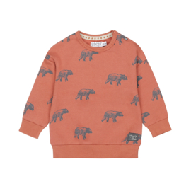 Dirkje sweater with crewneck rust