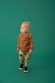 Feetje sweater bruin He Ho Dino