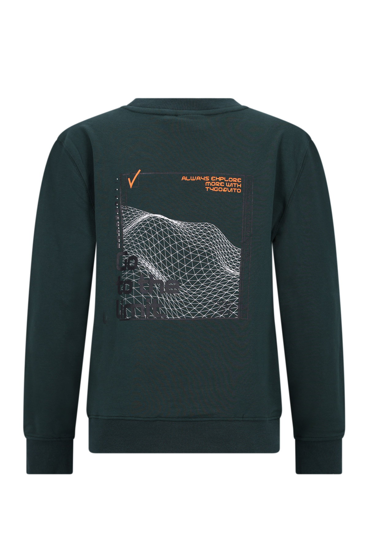 Tygo & Vito nextGen sweater Nate storm green