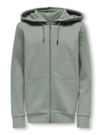Only & Sons zipper hoodie Ceres gray