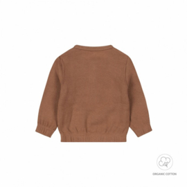 Dirkje newborn sweater brown