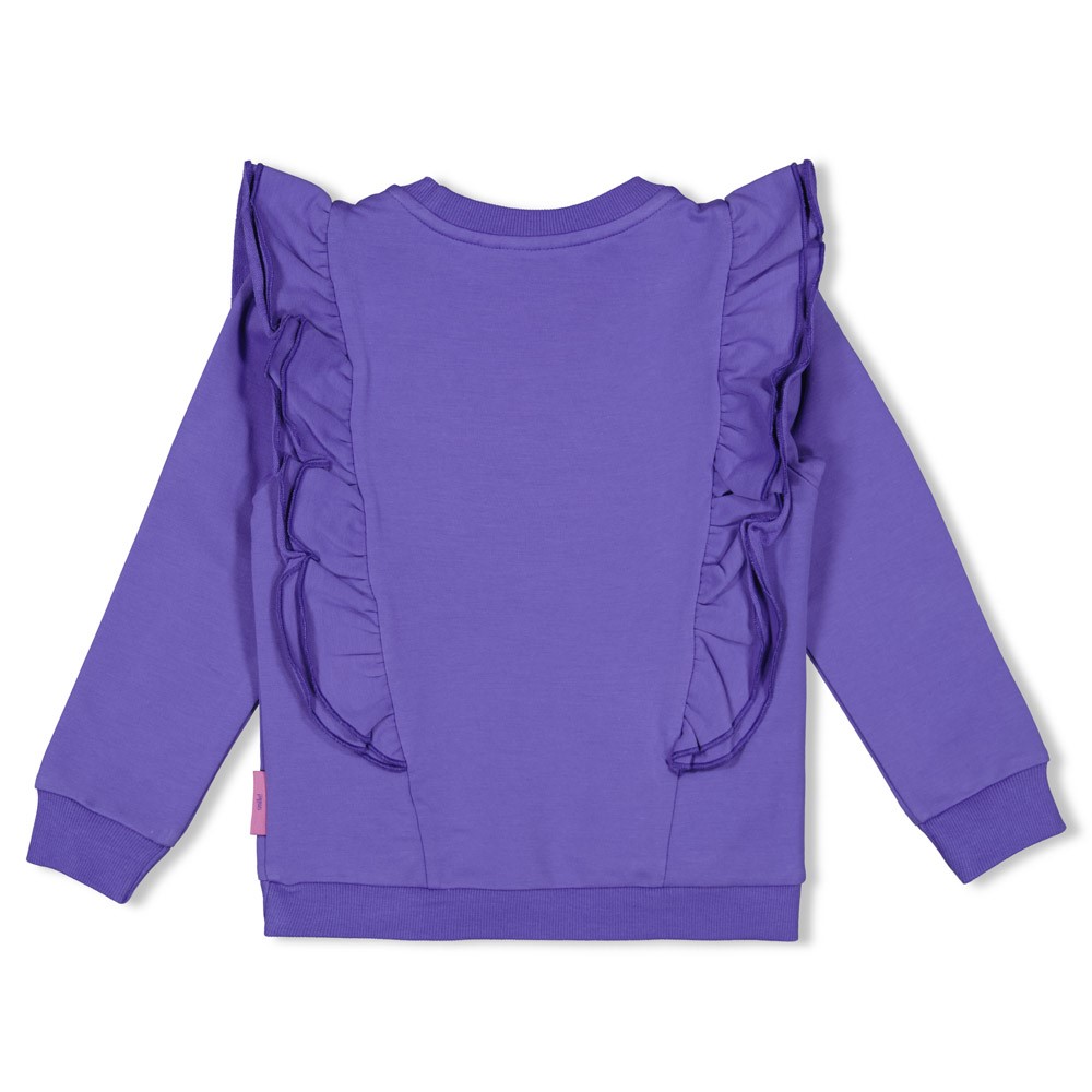 Jubel sweater ruches Wild Soul