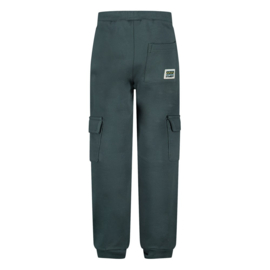 Sturdy cargo broek petrol Fix it