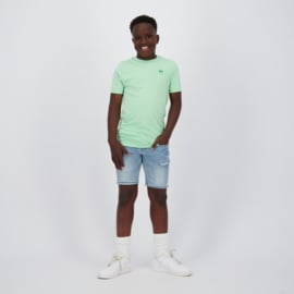 Raizzed t-shirt Hoosic fresh opal