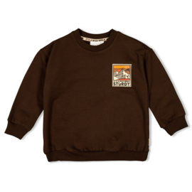 Sturdy sweater d. bruin Fly Wild