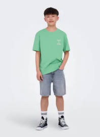 Only & Sons SUMMER Life printed tee breeze
