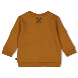 Feetje sweater bruin He Ho Dino