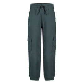 Sturdy cargo broek petrol Fix it