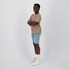Raizzed t-shirt Hinton Haw vintage brown