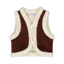Dirkje waistcoat brown
