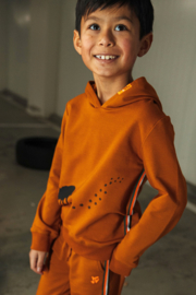 Tygo & Vito boys Hoody Hero